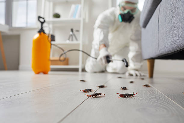 Trusted Cockroach Control service in Sleepy Hollow, WY - Nex Pest Control