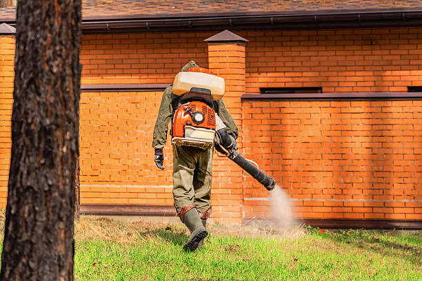 Trusted Mosquito Control service in Sleepy Hollow, WY - Nex Pest Control